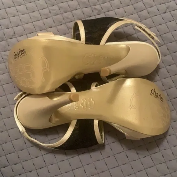 𝅺Charles by Charles David satin and lace sexy stiletto high heel shoes