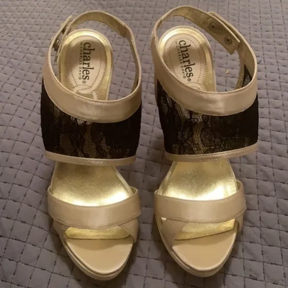 𝅺Charles by Charles David satin and lace sexy stiletto high heel shoes