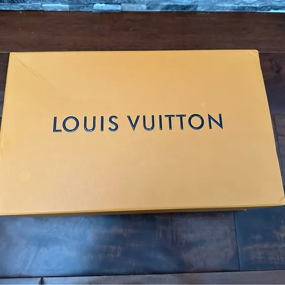 Louis Vuitton Black and Brown Sandals Sleek Modern Design