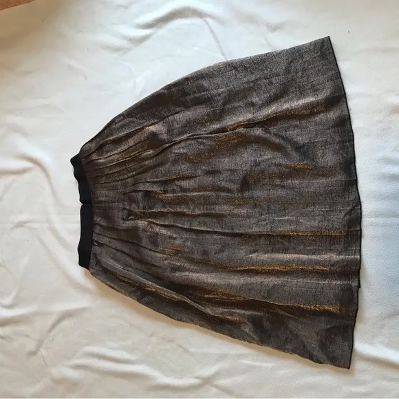 Madewell Metallic Pleated A Line Skirt Size 0