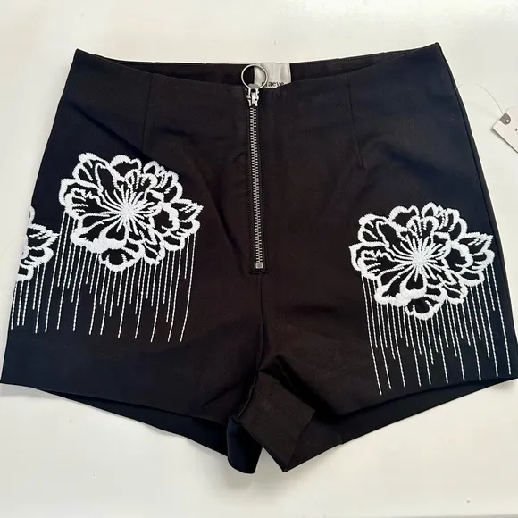 Maeve Embroidered Micro Shorts - Size 2 (US)