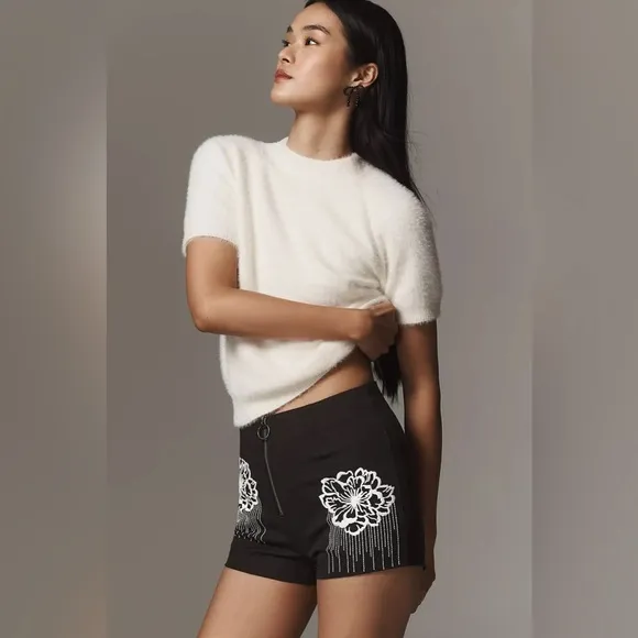 Maeve Embroidered Micro Shorts - Size 2 (US)