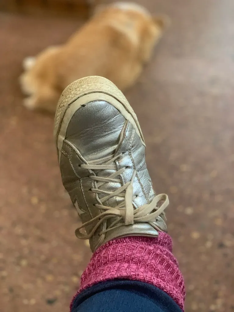 merino thick full cushioned Max socks