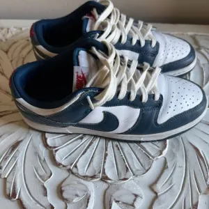 Nike Dunk Low &quot;Valerian Blue&quot; Size 7 Sneakers