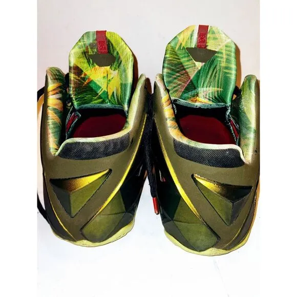 Nike LeBron 11 King's Pride Sneakers Size 12, Basketball, Sportswear, Gold Shoes