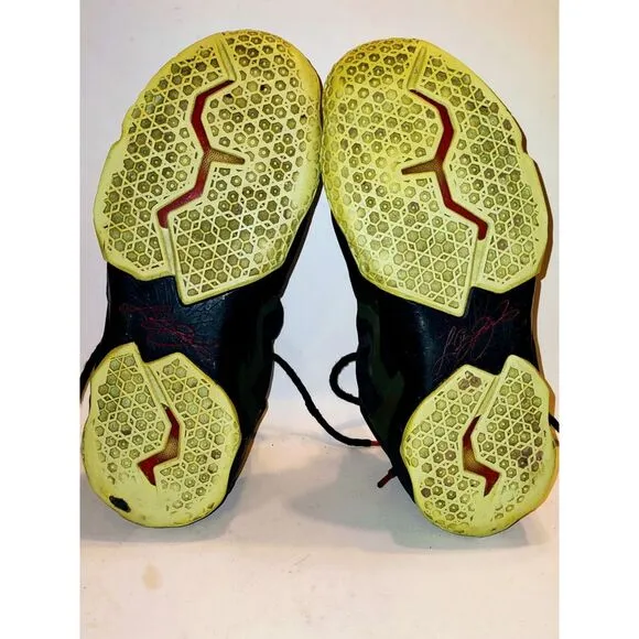 Nike LeBron 11 King's Pride Sneakers Size 12, Basketball, Sportswear, Gold Shoes