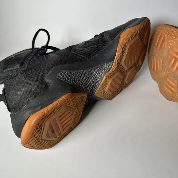 Nike LeBron 13 Black Lion Men's Size 10.5 Style Code 807219-001