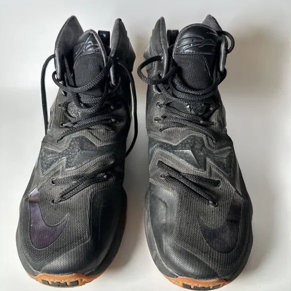 Nike LeBron 13 Black Lion Men's Size 10.5 Style Code 807219-001