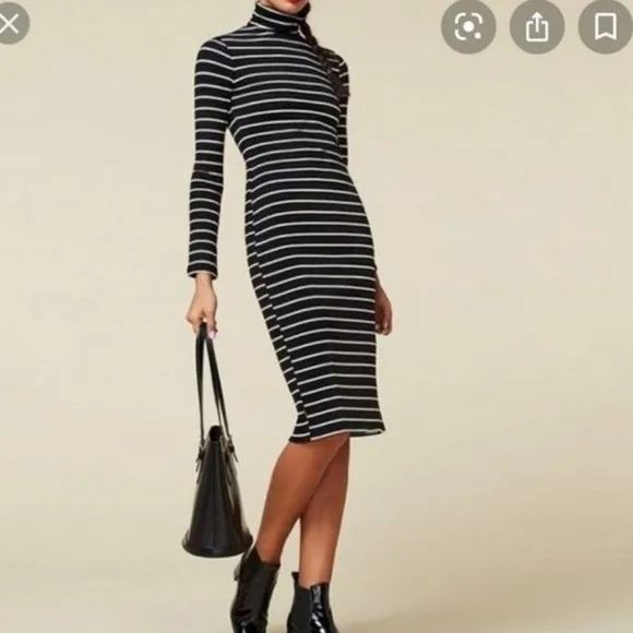 Nwot Reformation Lucien Striped Rib Turtleneck Dress