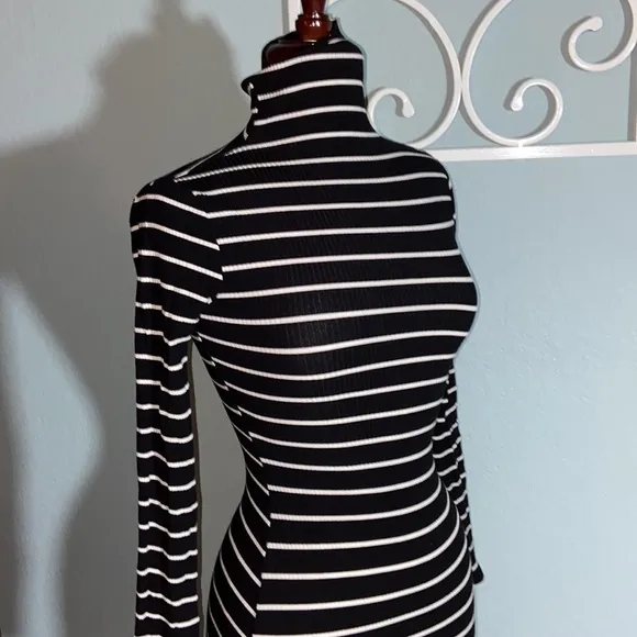 Nwot Reformation Lucien Striped Rib Turtleneck Dress