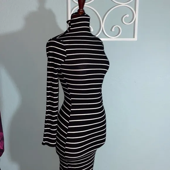 Nwot Reformation Lucien Striped Rib Turtleneck Dress