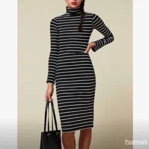 Nwot Reformation Lucien Striped Rib Turtleneck Dress