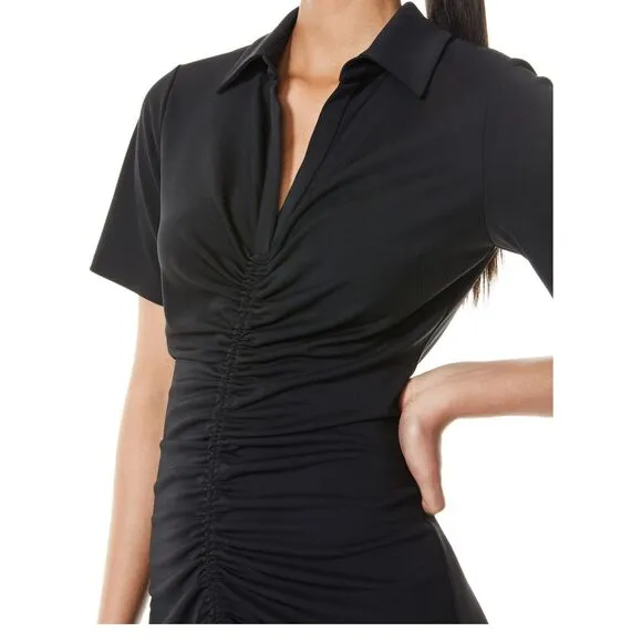 NWT Alice   Olivia Marsha Ruched Polo Mini Dress Tie