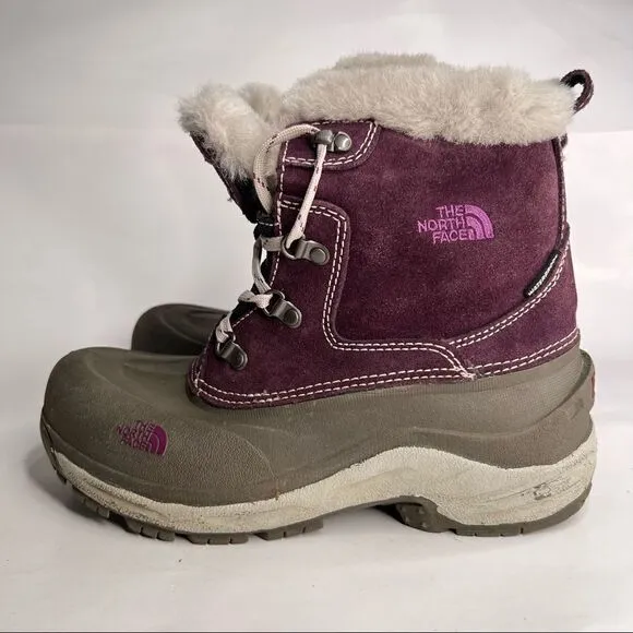 The North Face McMurdo Winter Boots in gray and purple Size 6