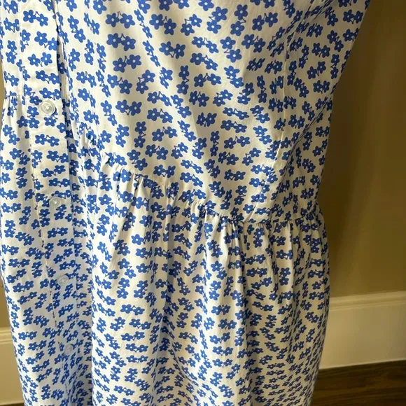 Tuckernuck crisp white dress with blue flowers