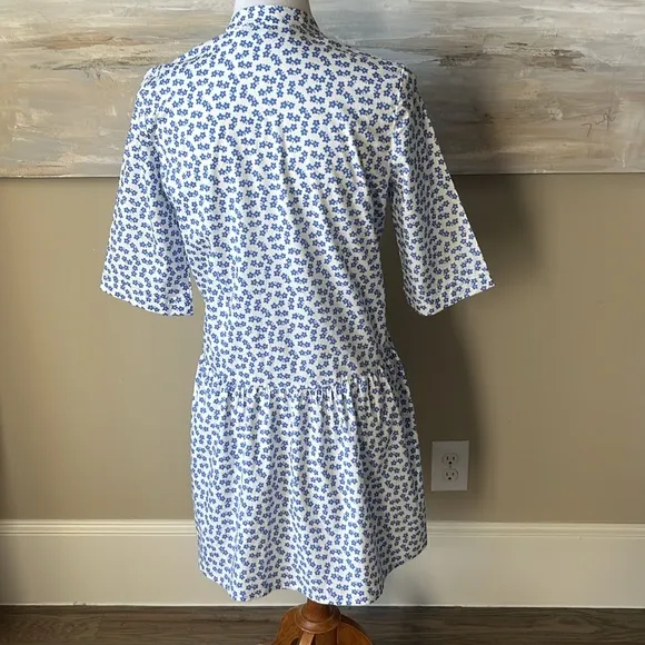 Tuckernuck crisp white dress with blue flowers