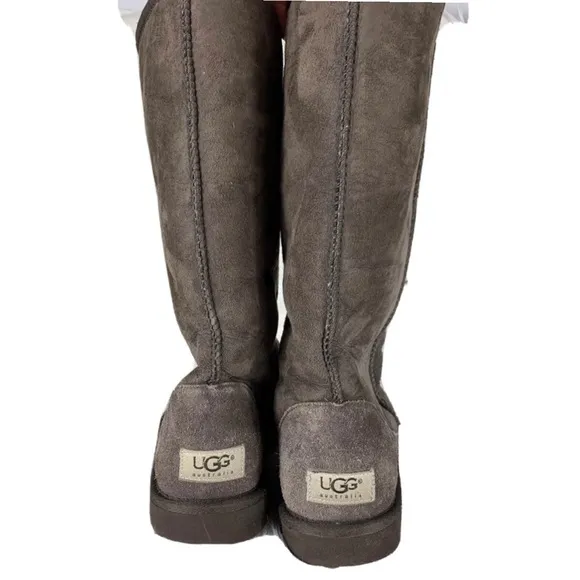 Ugg F8008D Brown Tall Winter Boots