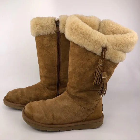 UGG Plumdale Sheespkin Winter Boots 8