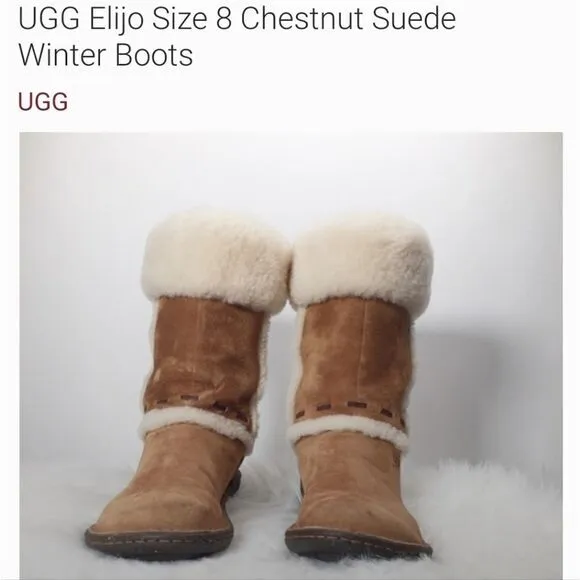 UGG Elijo Chestnut Suede Winter boots